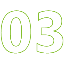 03